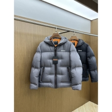 Zegna Down Jackets